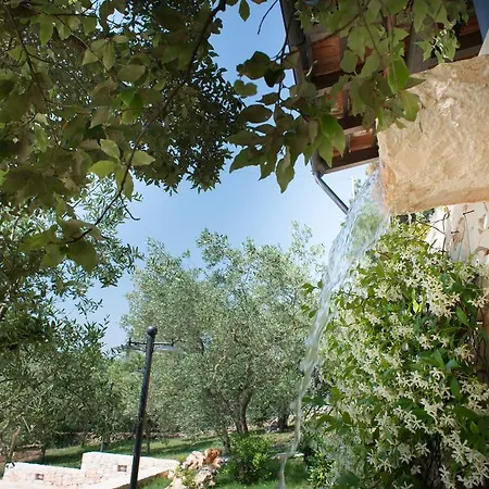 Trulli Bosco Selva * Alberobello