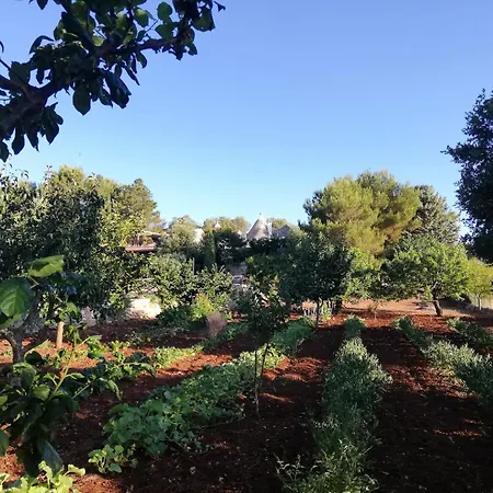 Bosco Selva Appartamento