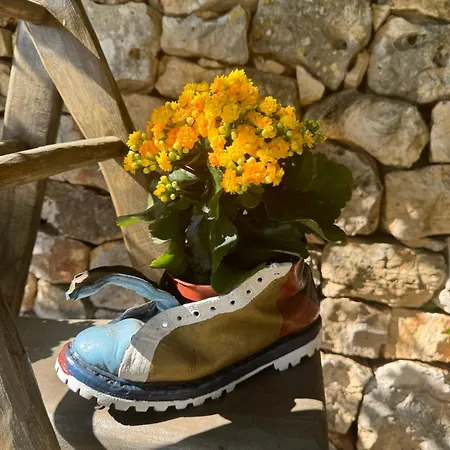 شقة Trulli Bosco Selva ألبيروبيللو