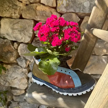 Trulli Bosco Selva Apartment Alberobello